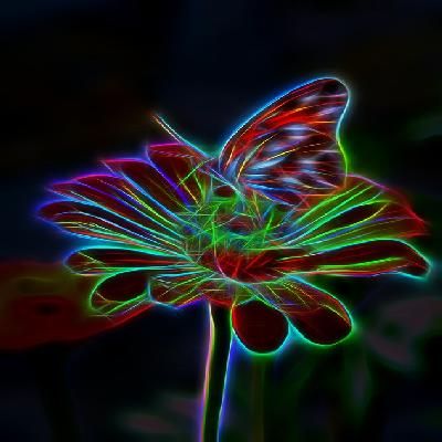 Flower Effect Light