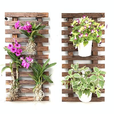 Flower Pots, Wall & Garden Planters