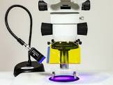 Fluorescence Stereo Microscope
