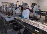 Food Handling Conveyors