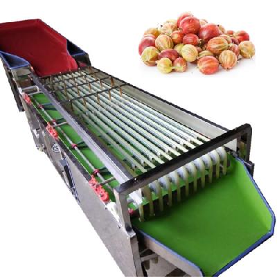 Food Grading Machine