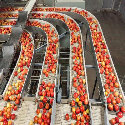 Food Processing Plant