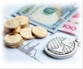 Foreign Exchange Consultancy Service