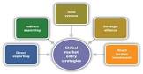 Foreign Investor Entry Strategy Service