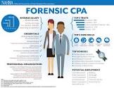 Forensic Accountancy Services