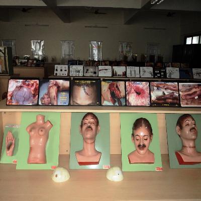 Forensic Models