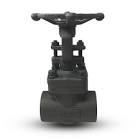 Forged Steel Gate Valves