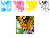 Four Color Printer