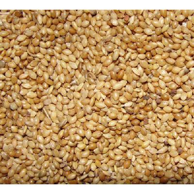 Foxtail Millet