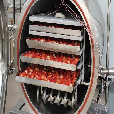 Freeze Drying Equipment