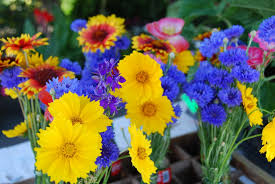 Fresh Flowers, Plants And Trees