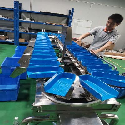 Fruit Sorting Machine 