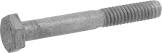 Galvanized Fasteners