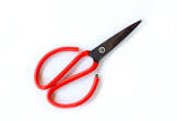 Garden Scissor