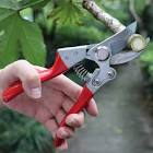 Garden Shears