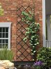 Garden Trellis