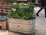 Garden Trough