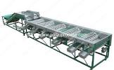 Garlic Grading Machine