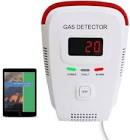 Gas Alarms