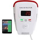 Gas Detectors
