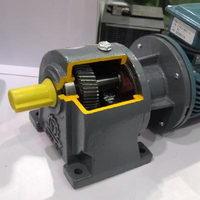 Gear Reducer Motor