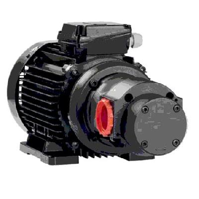 Gerotor Pump