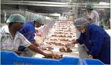 Ginger Processing Machine