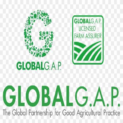Global GAP Certification