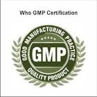 Gmp Certification Services