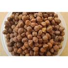 Gram Seed