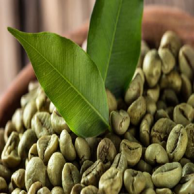 Green Coffee Bean Extract