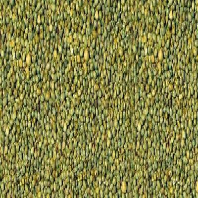 Green Millet