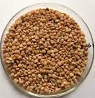 Guar Seeds