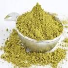 Gymnema Sylvestre Extract Powder