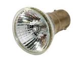 Halogen Lighting Fixture