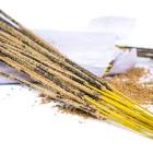 Hand Rolled Incense Sticks