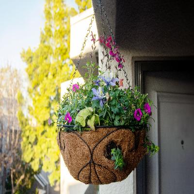 Hanging Plant Basket