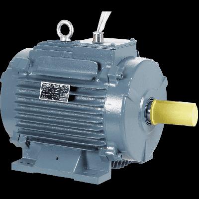 Havells Induction Motors