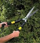 Hedge Shears