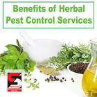 Herbal Pest Control