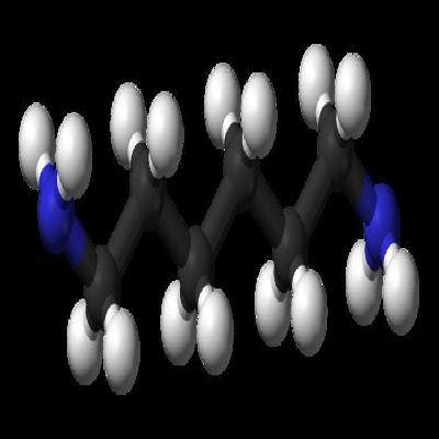 Hexamethylenediamine