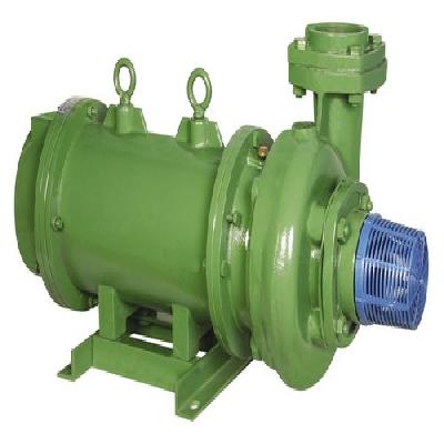 Horizontal Open Well Pump