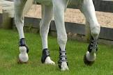 Horse Boots