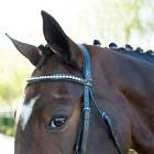Horse Browbands
