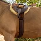 Horse Girth