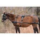 Horse Harness