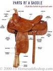 Horse Riding Accessories