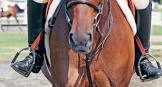 Horse Stirrups