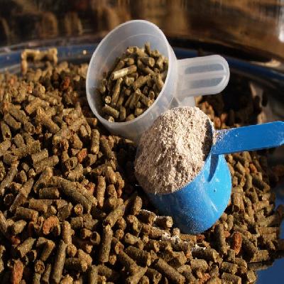 Horse Feed Supplements 