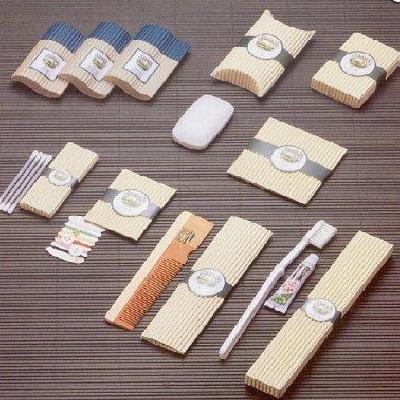 Hotel Amenity Kit 